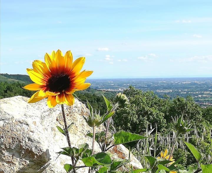 B&B Ca Montemezzano Verona Exteriér fotografie